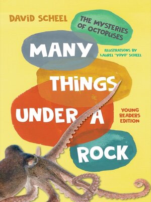 cover image of Many Things Under a Rock Young Readers Edition